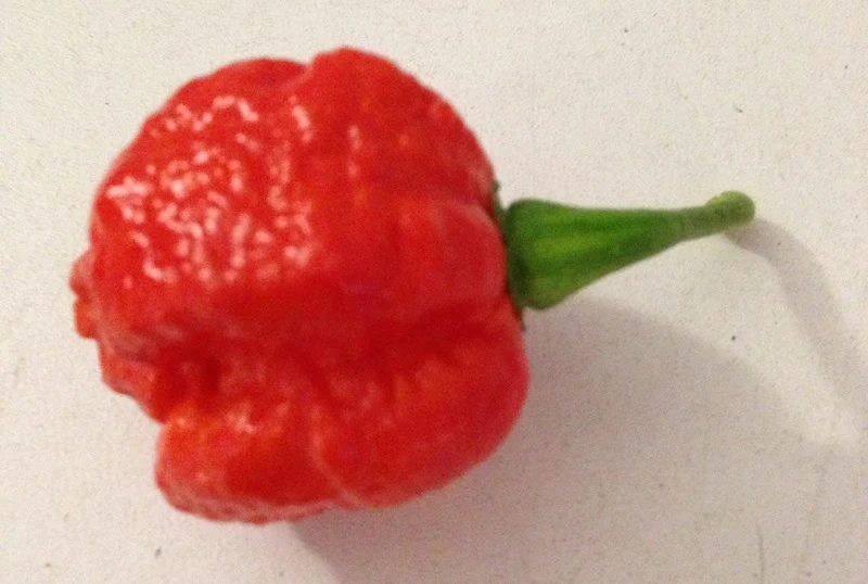 Miniaturebillede 1