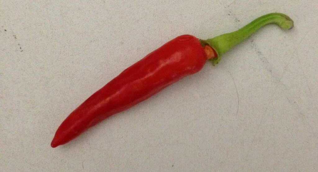 Miniaturebillede 1