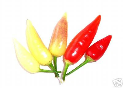 Miniaturebillede 1