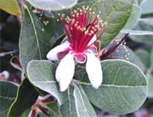 Miniaturebillede 1