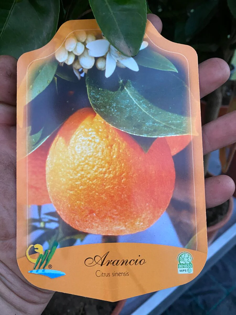 Miniaturebillede 1
