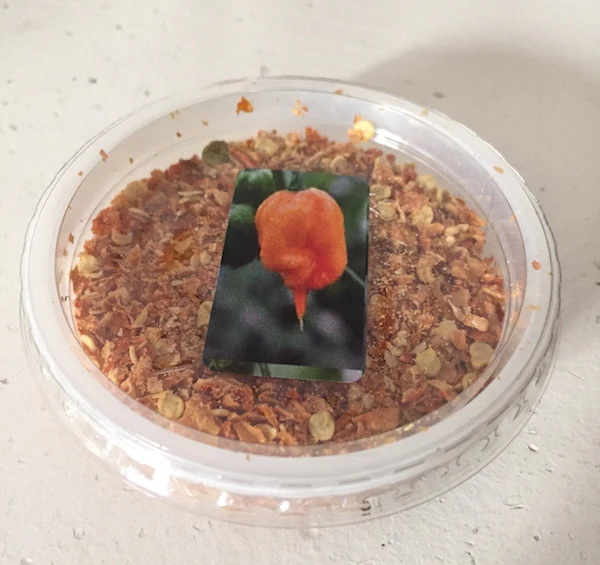 Miniaturebillede 1