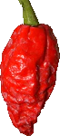 Miniaturebillede 1