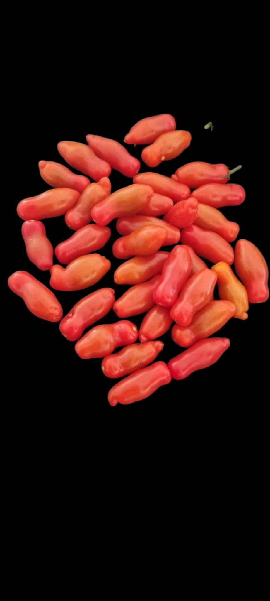 Miniaturebillede 1