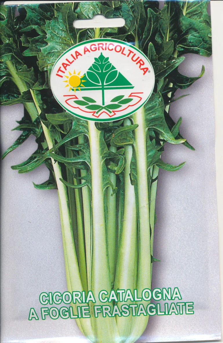 Miniaturebillede 1