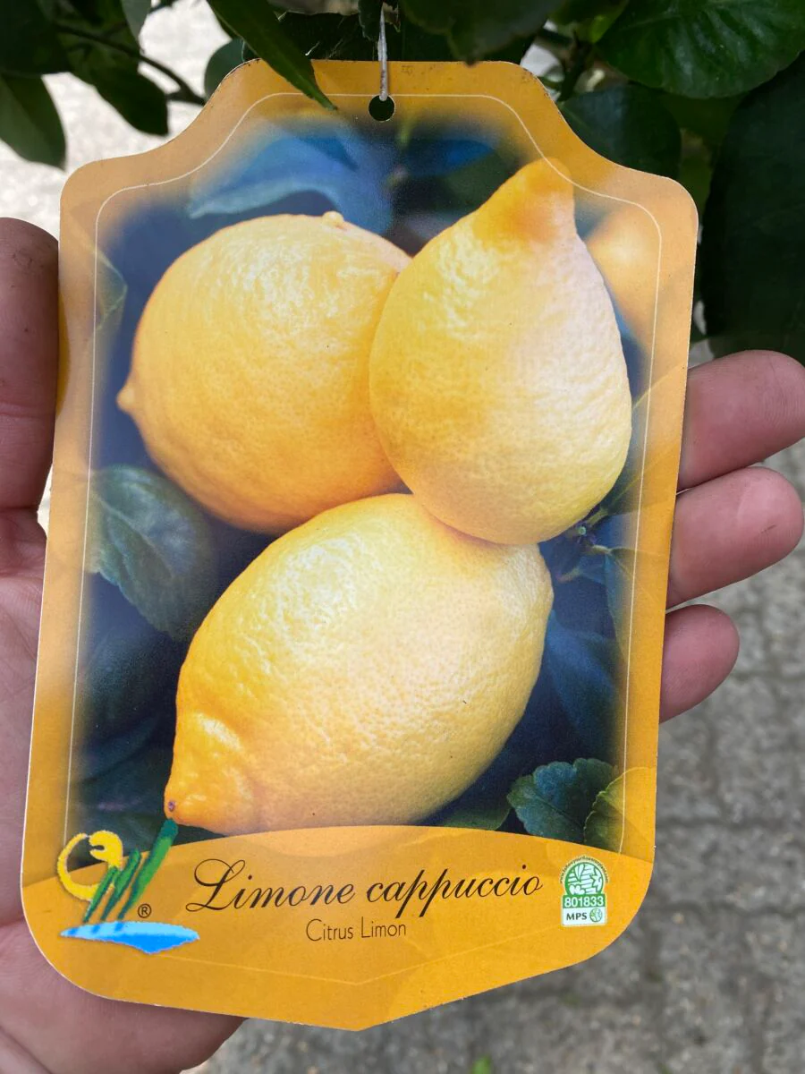 Miniaturebillede 1