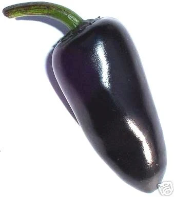Miniaturebillede 1