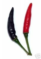 Miniaturebillede 1