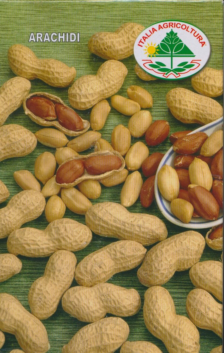 Miniaturebillede 1