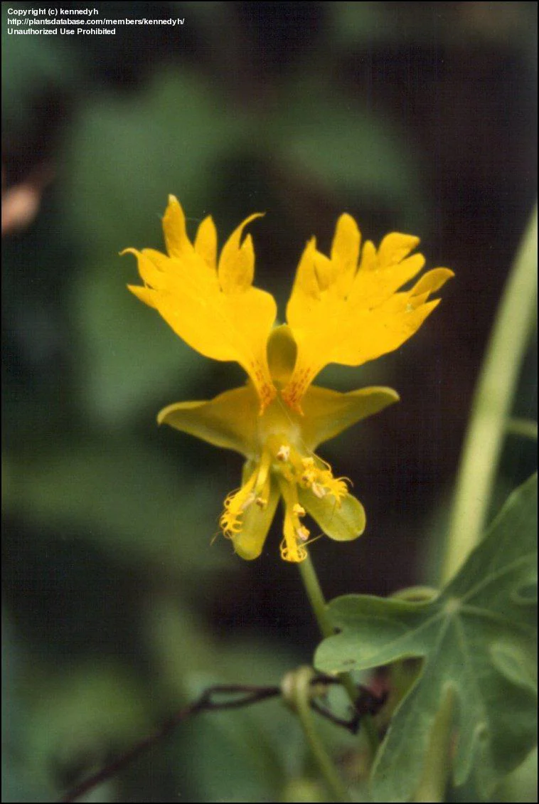 Miniaturebillede 1