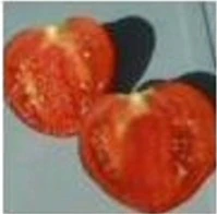 Miniaturebillede 2