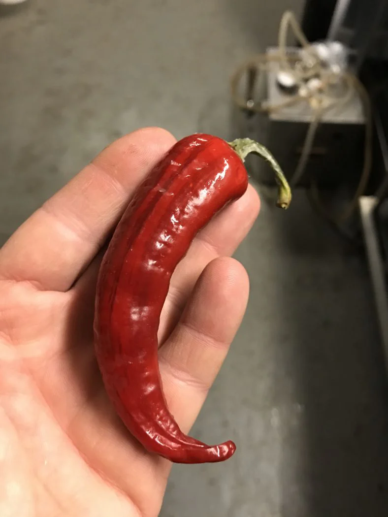 Miniaturebillede 2
