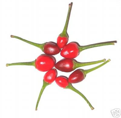 Miniaturebillede 1