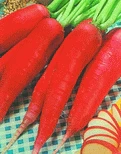 Miniaturebillede 1