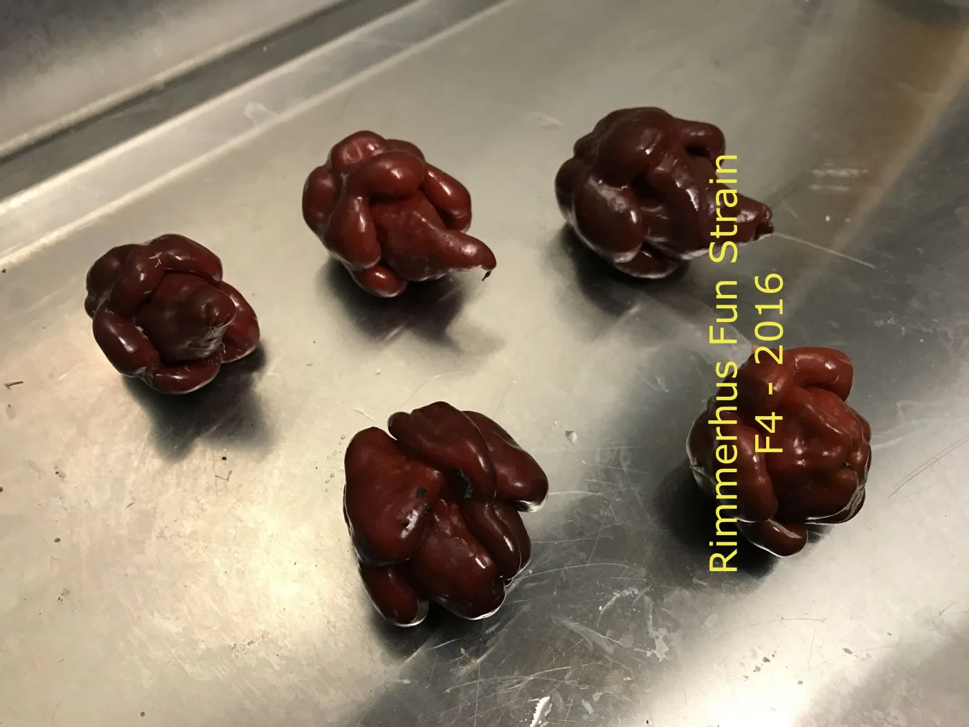 Miniaturebillede 2
