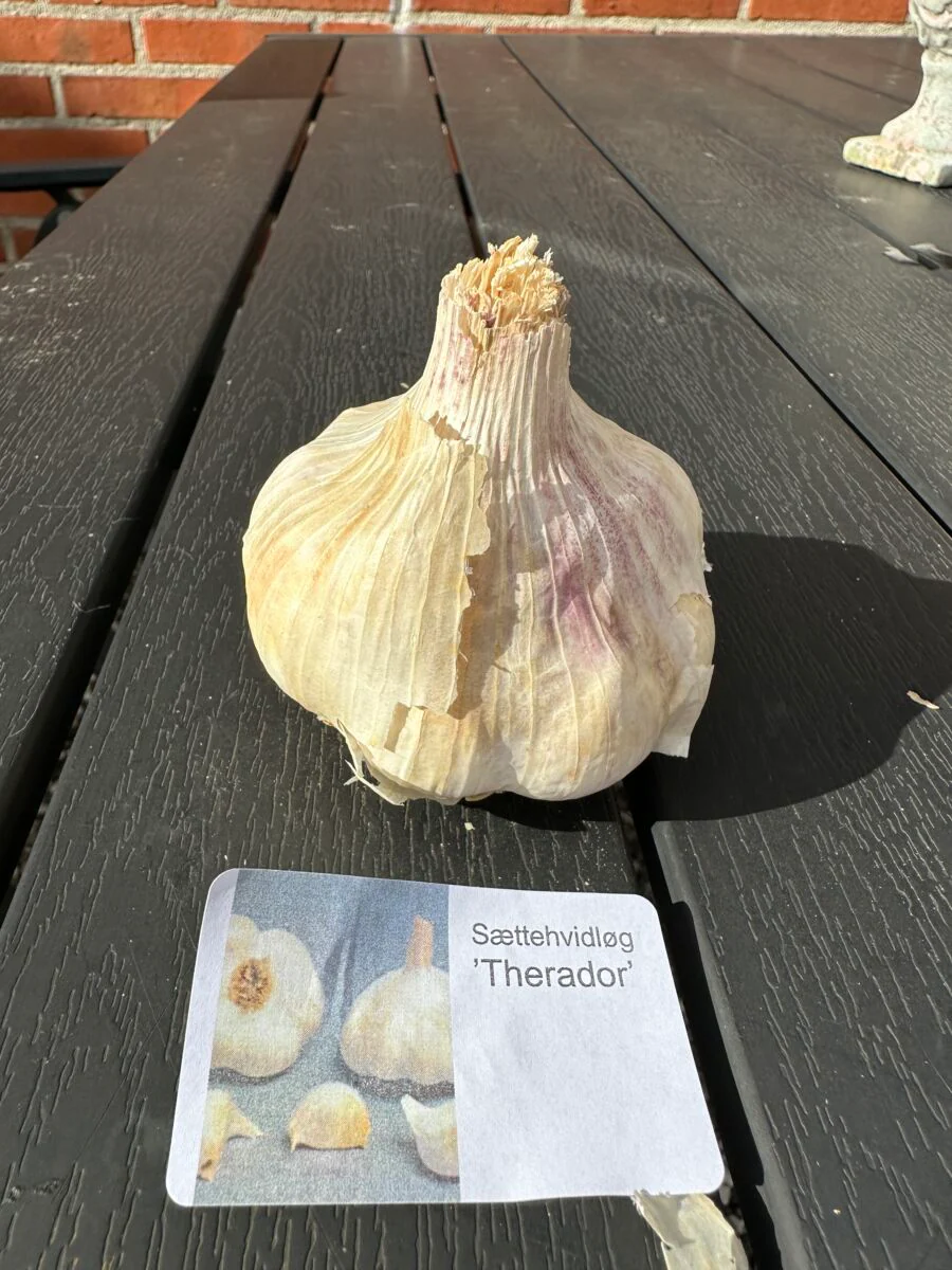 Miniaturebillede 1