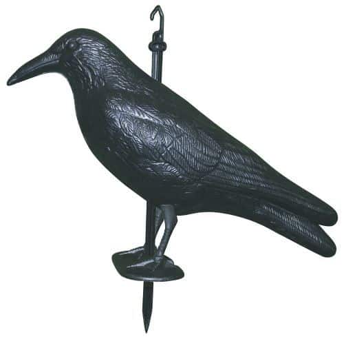 Miniaturebillede 1