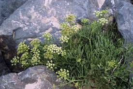 Miniaturebillede 1