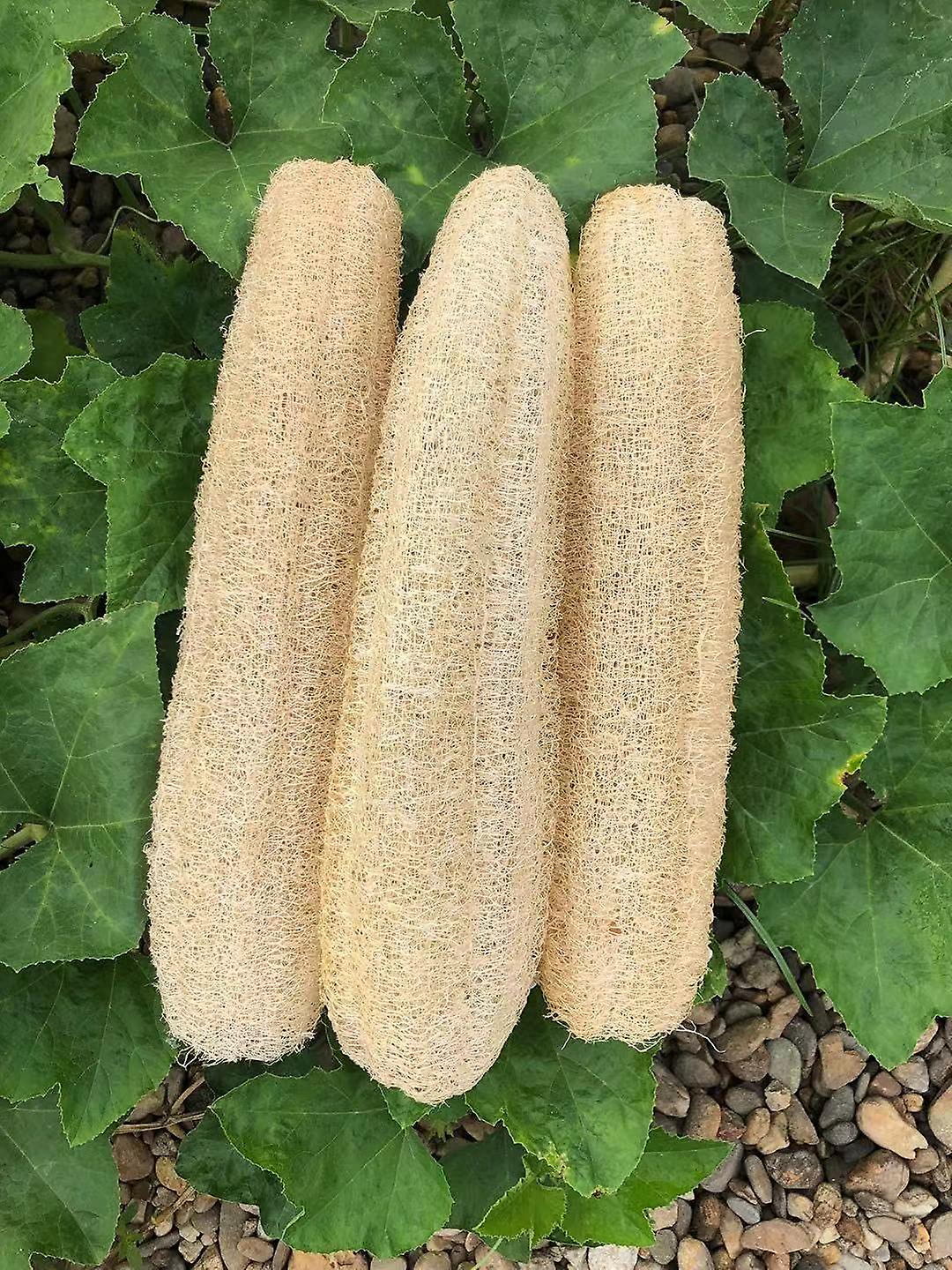 Miniaturebillede 1