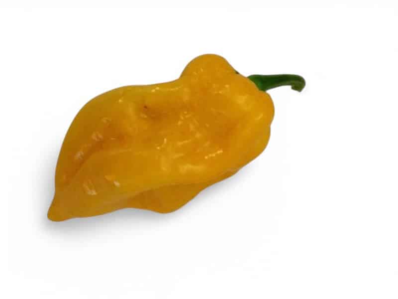 Miniaturebillede 1