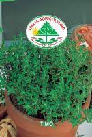 Miniaturebillede 1