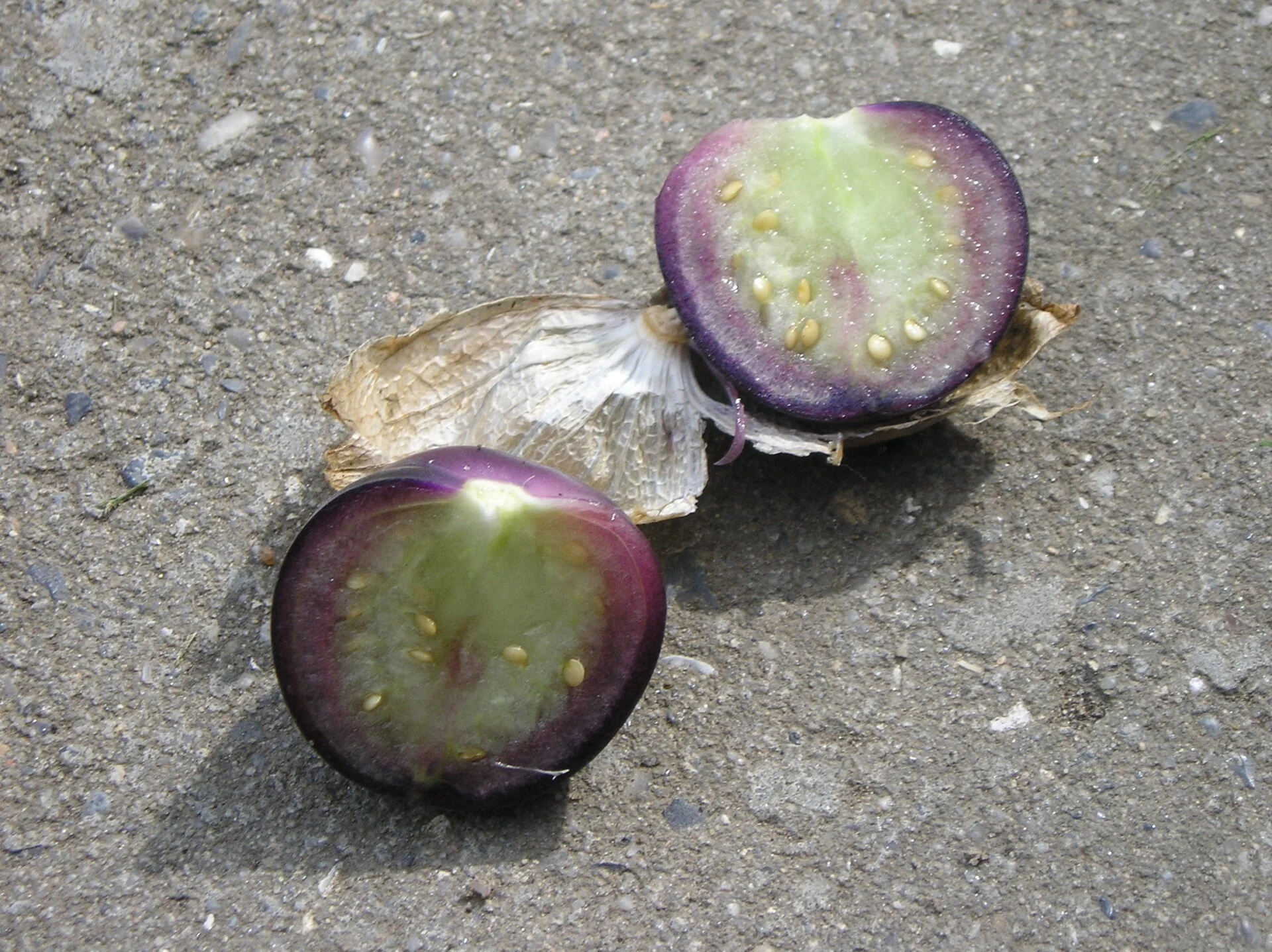 Miniaturebillede 1
